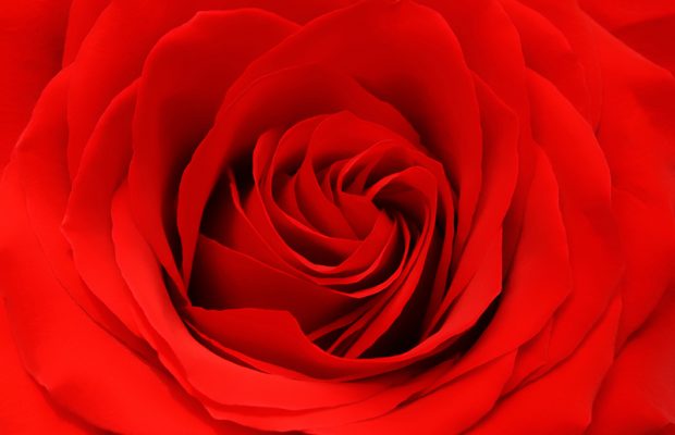 Save big this Valentine’s Day