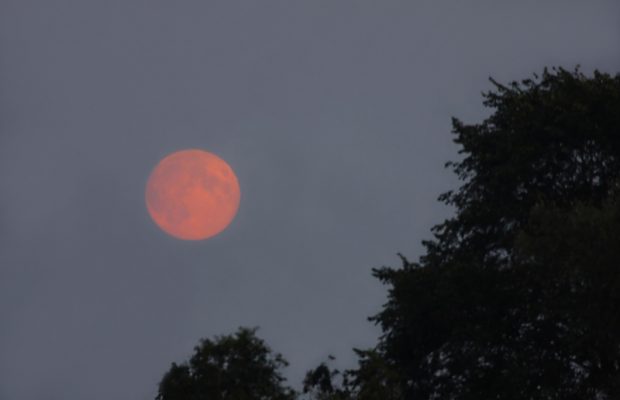 There’s a “Strawberry” moon tonight