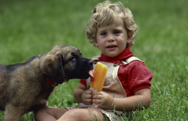 How dogs help toddlers learn