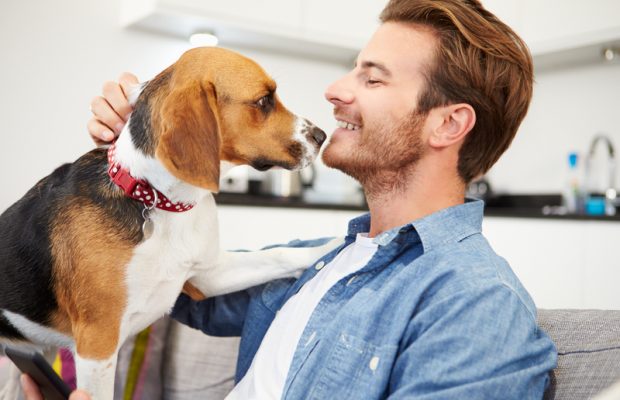 Want more dates? Your pet can help!