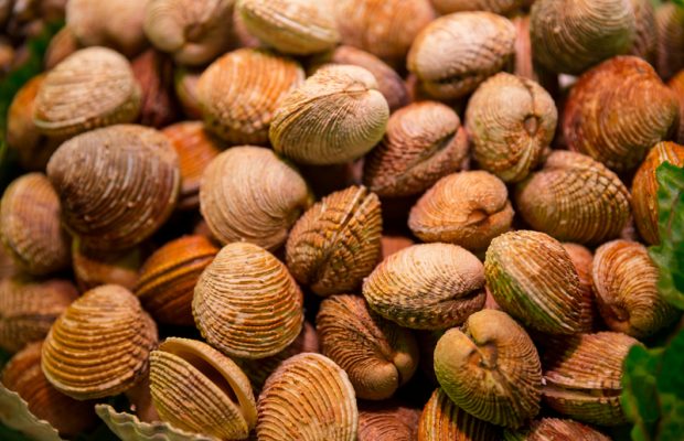 The most “adventurous” foods