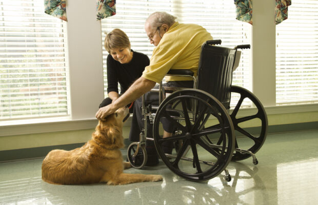 “Pets For The Elderly”