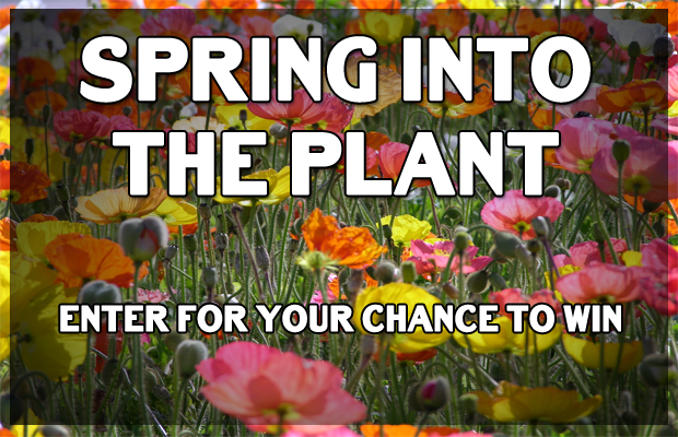 “Spring Into The Plant” Survey