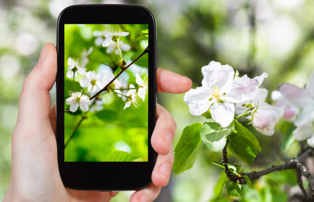 Tech Tips: What’s new in Apple 14.5 Tech Tips: What’s new in Apple 14.5