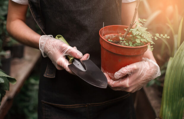 Stressed? Try “rage” gardening! 🌼