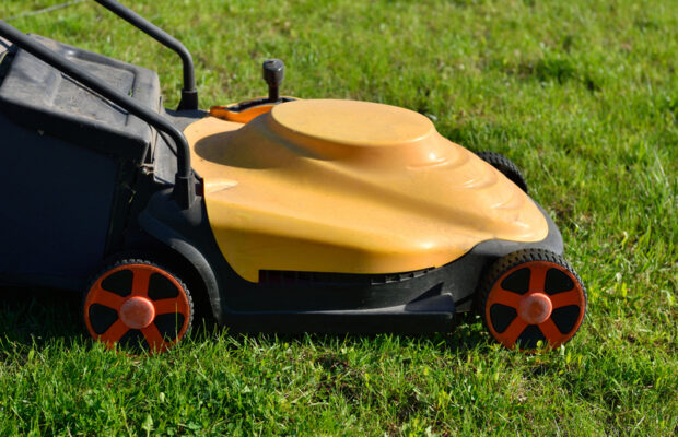 The best time to mow your lawn