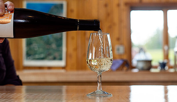 Celebrate the season at Lakewood Vineyards in Watkins Glen
