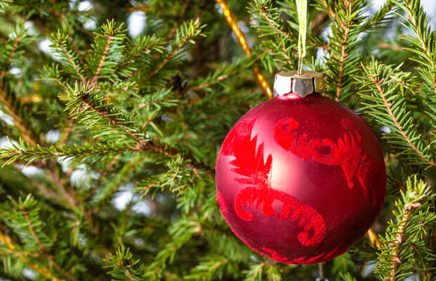 How To EAT Your Christmas Tree 🎄