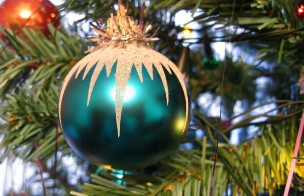 Is your tree making you sick? 😷