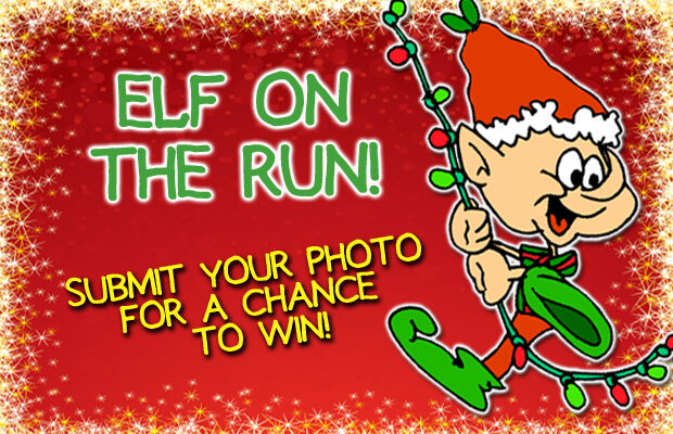“Elf on the Run” “Elf on the Run”