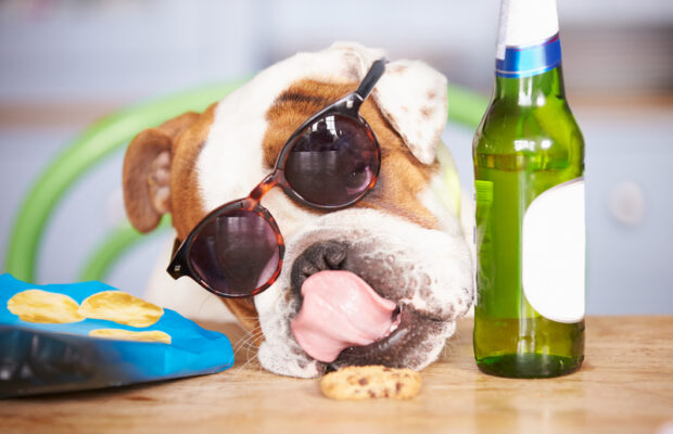 The “Two Beers and a Puppy” test