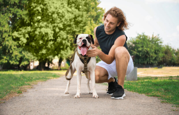 Who has it better…you or your dog?