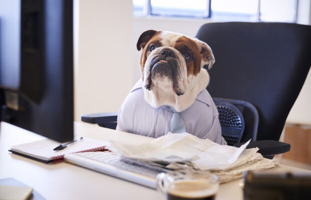 The germiest spots in your office