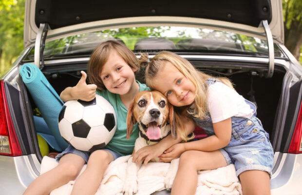 Travelling with your pet 🐶🚗
